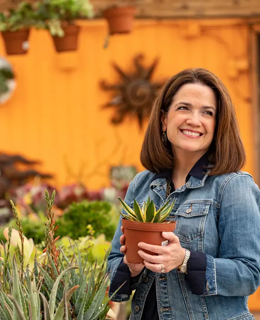 TLC Garden Centers Marketing