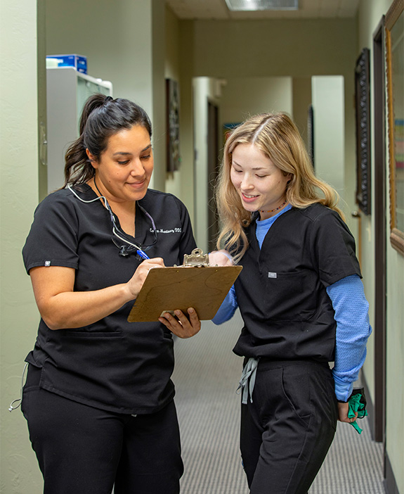 Lifestyle photography example for Masterpiece Smiles of two medical professionals looking at a clipboard together.