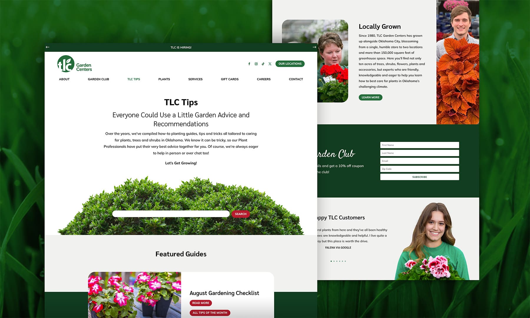 Gardening Center Website Design and Development Liquid Media