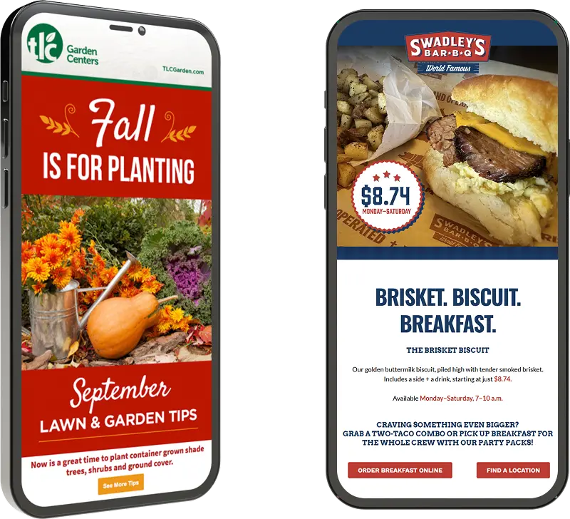 Branding and Email Blast Design for TLC | Liquid Media